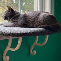 Thumbnail photo of 0824-104 Molly #1