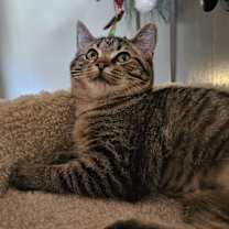 Thumbnail photo of Hunter #3