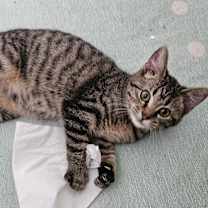 Thumbnail photo of Hunter #4