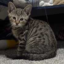 Thumbnail photo of Brady #4