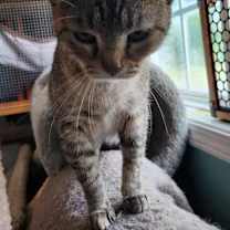 Thumbnail photo of Wyndham #2