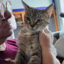 Thumbnail photo of Wyndham #3