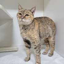 Thumbnail photo of Ember  #3