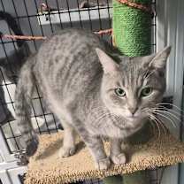 Thumbnail photo of Roddy #1