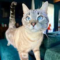 Thumbnail photo of *** Lillian #2