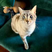 Thumbnail photo of *** Lillian #3