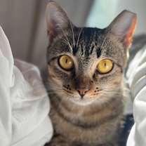 Thumbnail photo of Earl Grey #3