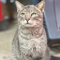 Thumbnail photo of TOBY #2