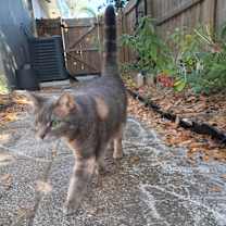 Thumbnail photo of Effie #1