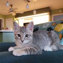 Thumbnail photo of Flora #3