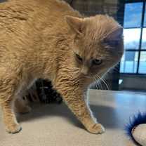 Thumbnail photo of Georgia #2