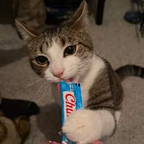 Thumbnail photo of Giovanni #1