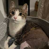 Thumbnail photo of Giovanni #2