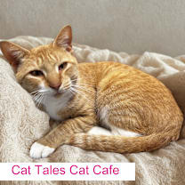 Thumbnail photo of Dennis #2