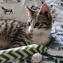 Thumbnail photo of Charlotte #2