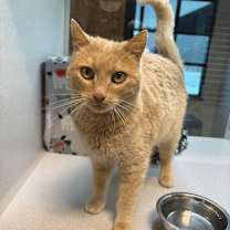 Thumbnail photo of Georgia #3