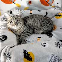 Thumbnail photo of Reaper #2