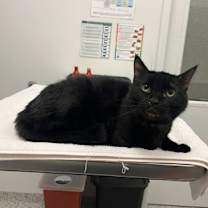 Thumbnail photo of Drew Thomas #2