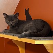 Thumbnail photo of Marceline #4