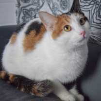 Thumbnail photo of Glitter #3