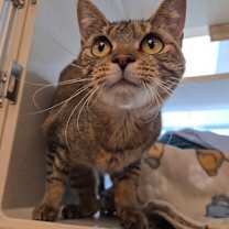 Thumbnail photo of Boots #2