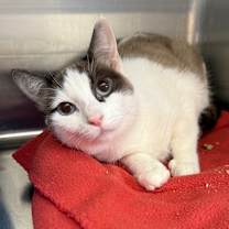 Thumbnail photo of Elena #2