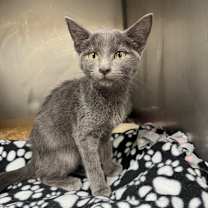 Thumbnail photo of Brooke #1