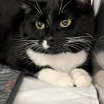 Thumbnail photo of Mildred #3