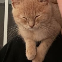 Thumbnail photo of Quinn #3