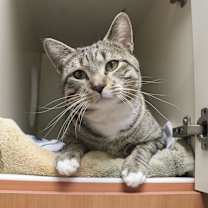 Thumbnail photo of Oliver #1