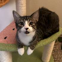 Thumbnail photo of Davina  #1