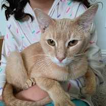 Thumbnail photo of Cheezit #1