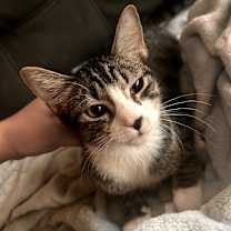 Thumbnail photo of Davina  #2