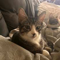 Thumbnail photo of Davina  #4