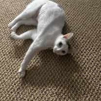 Thumbnail photo of Spot #4