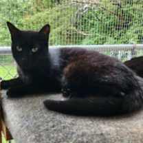 Thumbnail photo of Barry #2