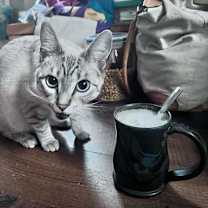 Thumbnail photo of Cirri #2