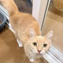 Thumbnail photo of Bailey #3