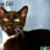 Thumbnail photo of Mr. Steal Your Girl #1