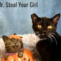 Thumbnail photo of Mr. Steal Your Girl #2