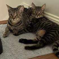 Thumbnail photo of Mitch & Phil #3