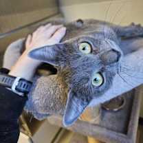 Thumbnail photo of Ketchup #3