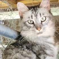 Thumbnail photo of Flora 3.6.25 #2