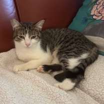 Thumbnail photo of Grace #2