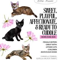 Thumbnail photo of Carmela #4