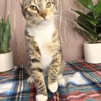 Thumbnail photo of Murphy #1