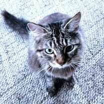 Thumbnail photo of Peggy #1