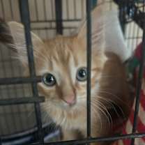 Thumbnail photo of Quarry NN #2