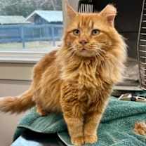 Thumbnail photo of Monty #1