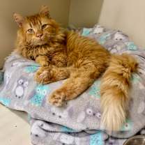 Thumbnail photo of Monty #2